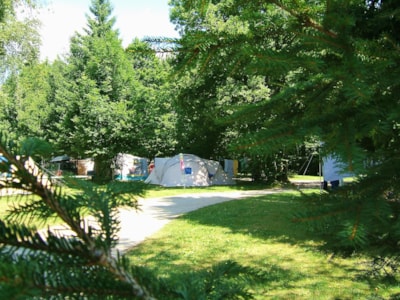 Pitch Nature SAISON (caravan or motorhome / 1 car)