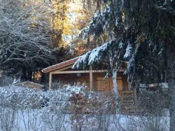Chalet Bouleau - 2 Chambres - Confort Et Charme Dans La Nature