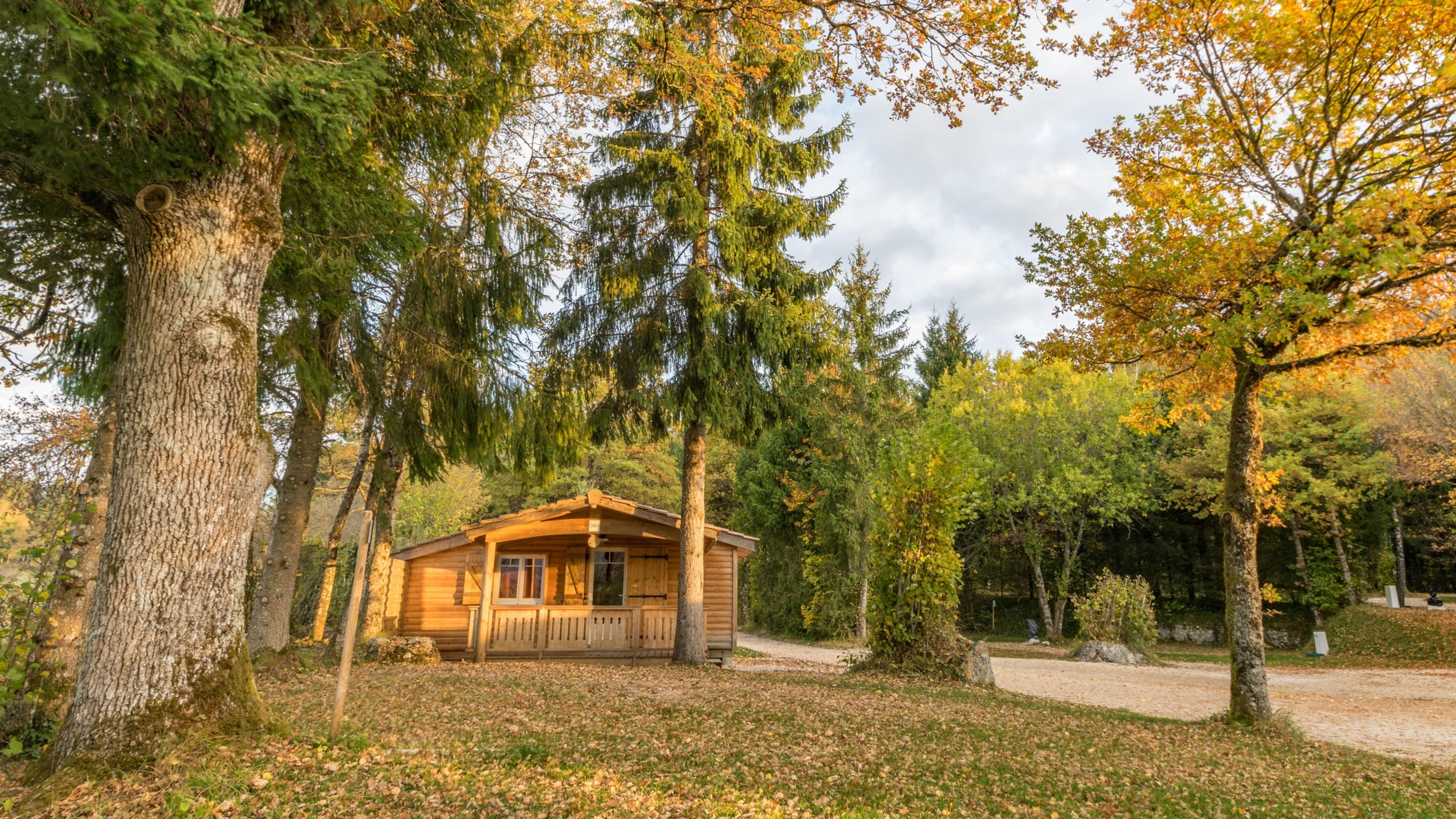 Camping de la Forêt — Photo 7