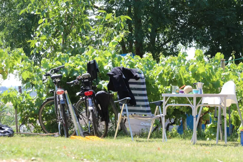 Forfait Itinérance Sans Électricité