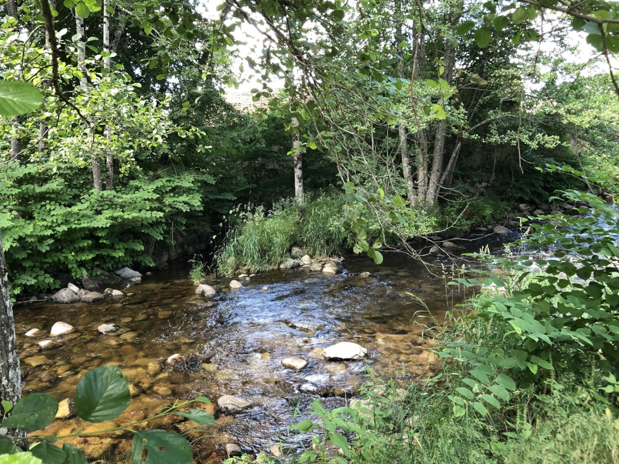 Camping Pré Vologne