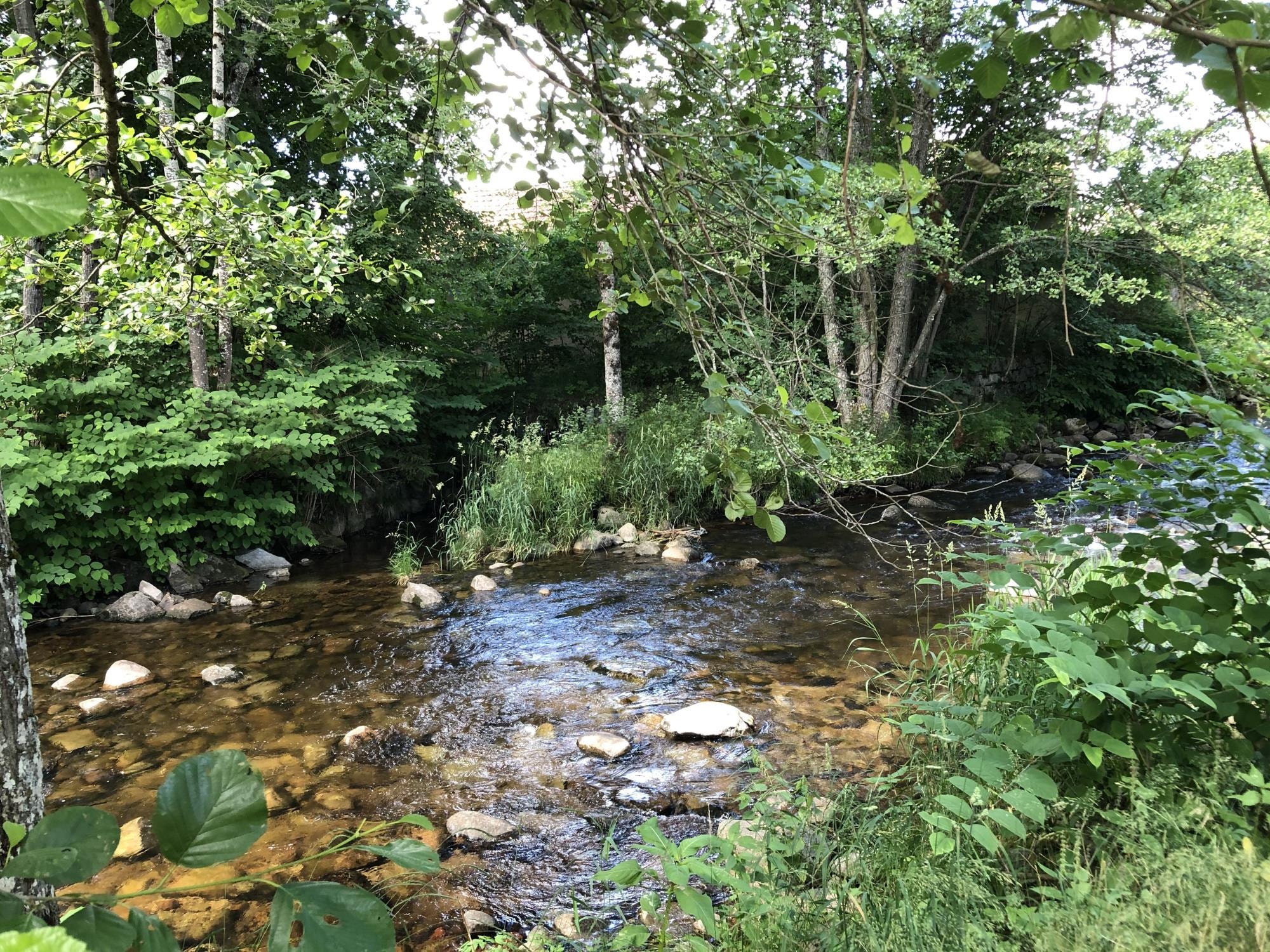 Camping Pré Vologne — Foto 4