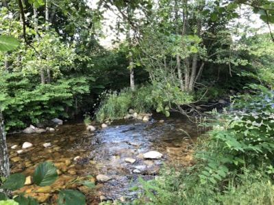 Camping Pré Vologne