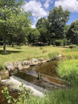 Foto #5 van Camping Pré Vologne