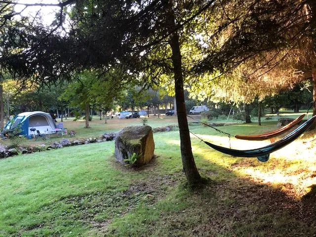 Camping Pré Vologne - image n°4 - Camping Direct