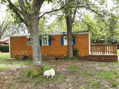 Mobile-home 2 bedrooms auvent IRM bois — 7