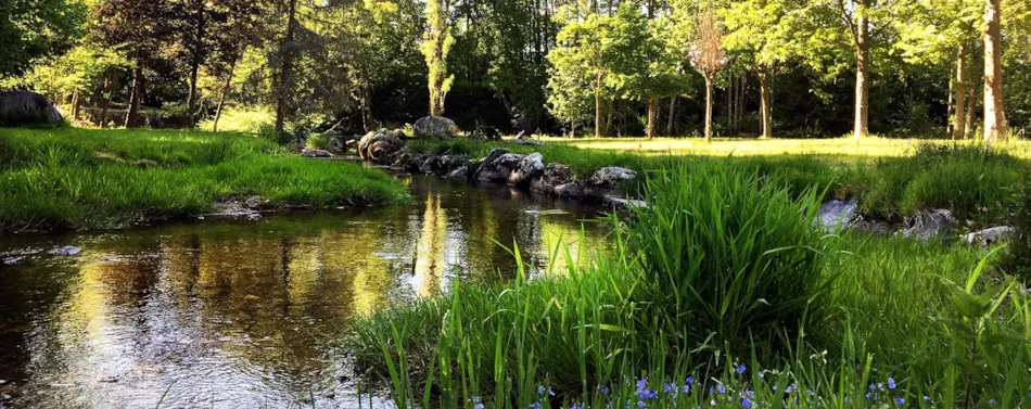 Camping Pré Vologne