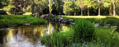 Camping Pré Vologne