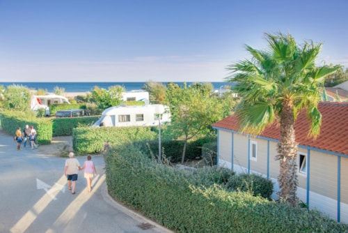 Foto #1 van Camping LVL