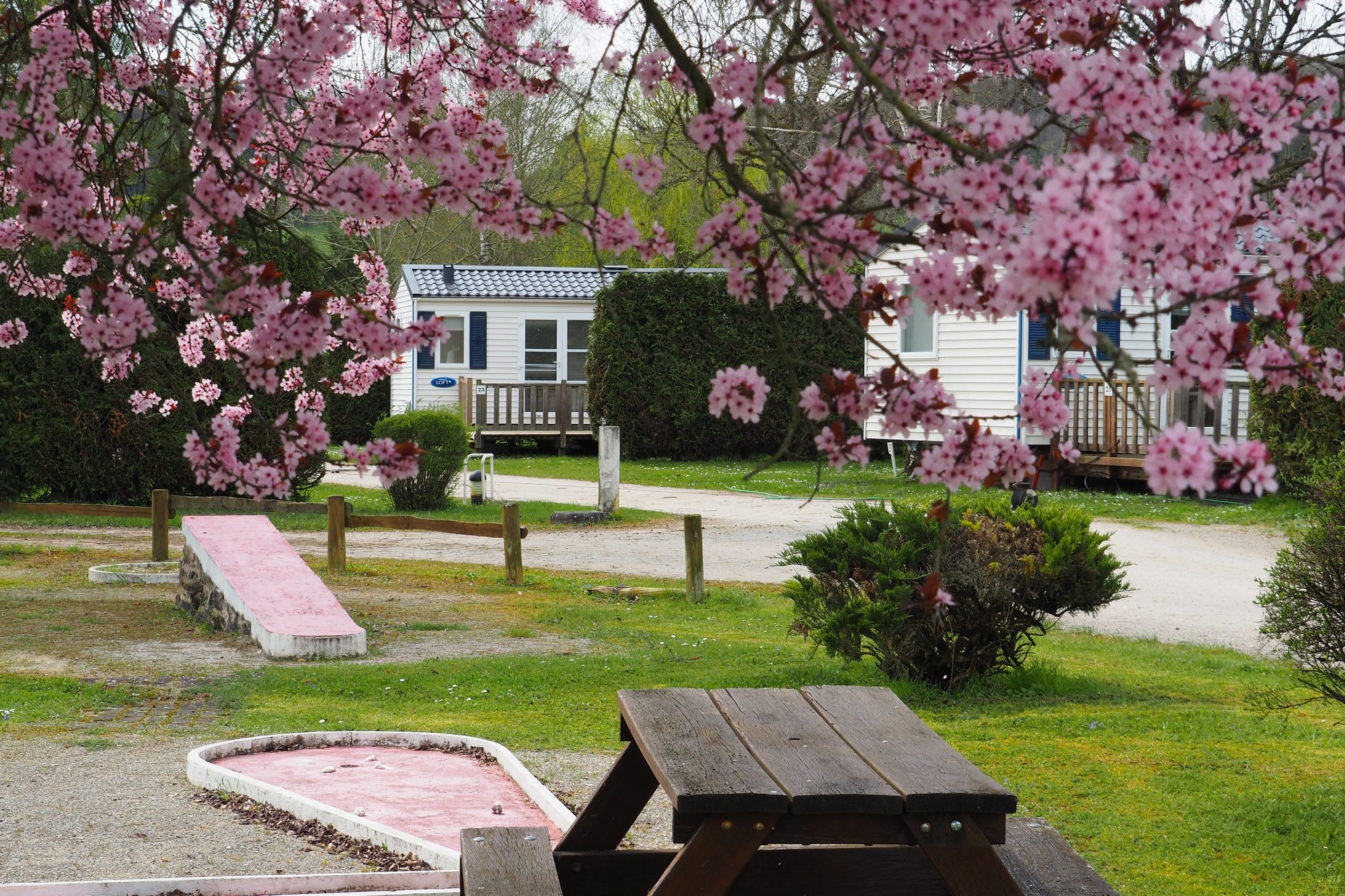 Camping Le Moulin — Foto 3