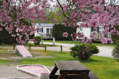Camping Le Moulin