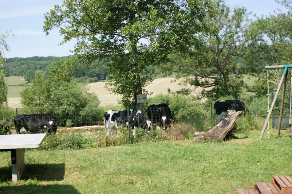 Camping Le Moulin