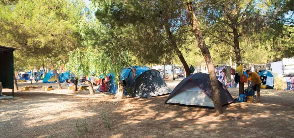 Standplaats tent, caravan of camper 6 A