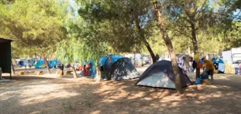 Stellplatz - Stellplatz Zelt, Wohnwagen, Wohnmobil 3 A - Camping La Masseria