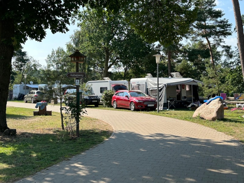 Deluxe campsite, 100 m²