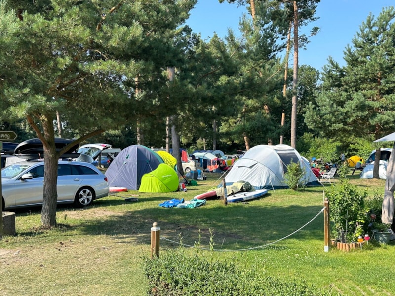 Camping spot for a tent up to 12 m²