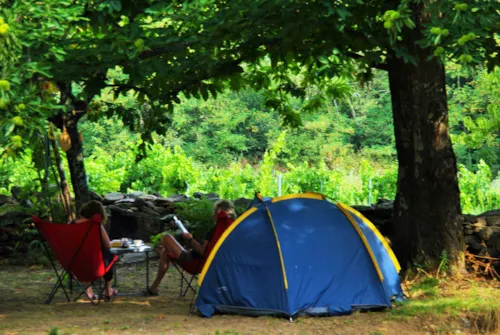 Kampeerplaats(en) - Locatie Natuur - image n°5 - Camping La Châtaigneraie