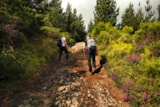Foto #27 van Camping La Châtaigneraie