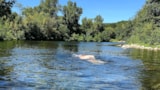 Foto #16 van Camping La Châtaigneraie