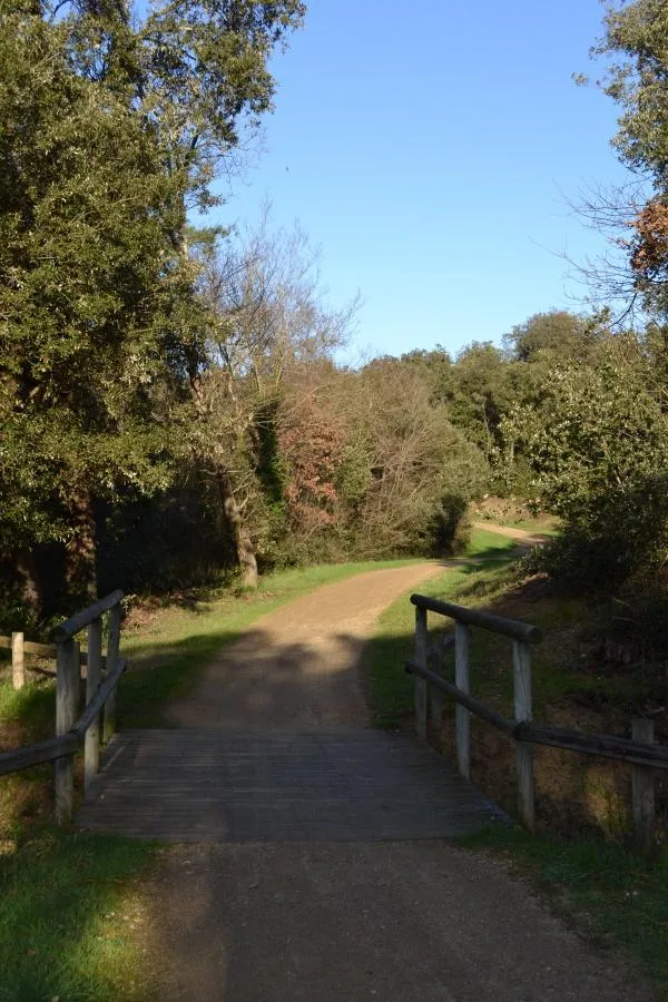 Camping La Grande Vallée