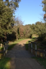 Foto #43 van Camping La Grande Vallée