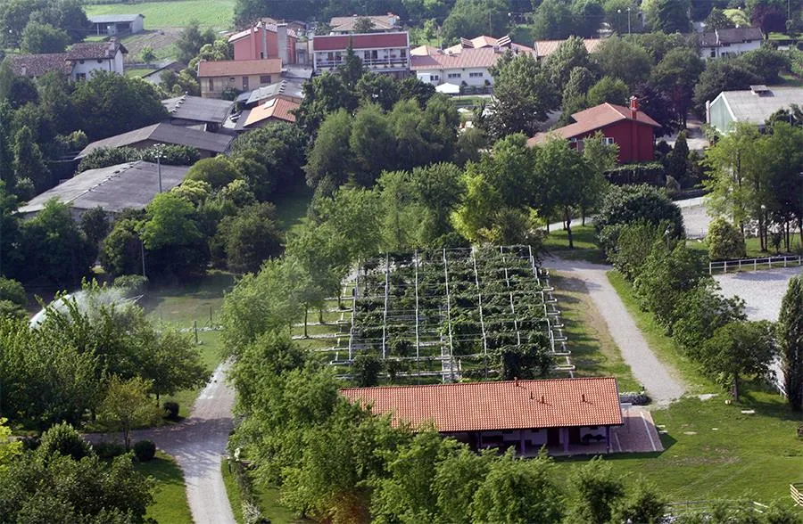 Agricampeggio Gelindo dei Magredi