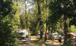 Stellplatz - Campingplatz Für Zelt Mit Strom,  In Der ,,Ramière” (1 Fahrzeug <2M + 1 Zelt Oder 1 Anhängerzelt) - Camping Les Chapelains