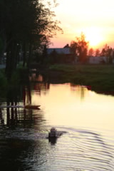 Foto #26 van Camping De Grienduil