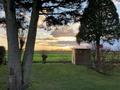 Comfort Pitch with private toilet block — 3