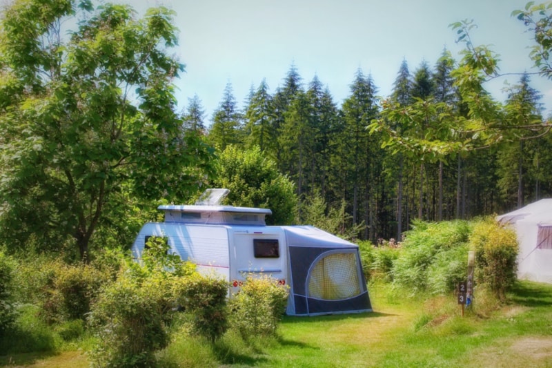 C010 Standplaats caravan/vouwwagen/camper + auto + electriciteit