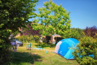 Pitch tent + car + electricity