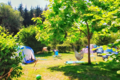 Pitch tent + car + electricity