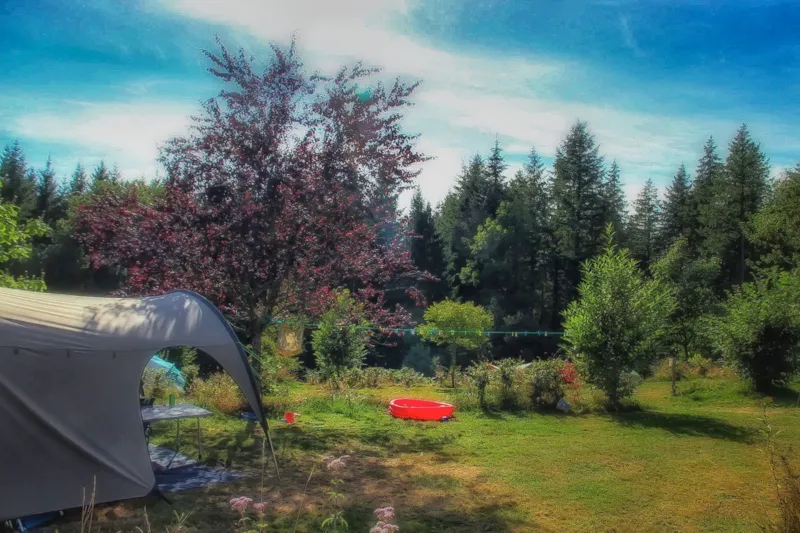 Emplacement Tente + Voiture + Electricité