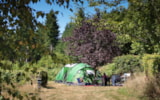 Foto #7 van Camping Domaine La Chabanne