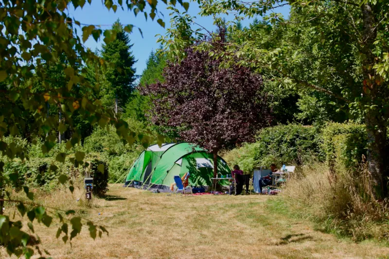 Emplacement Tente + Voiture + Electricité
