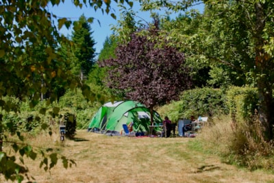 Pitch tent + car + electricity