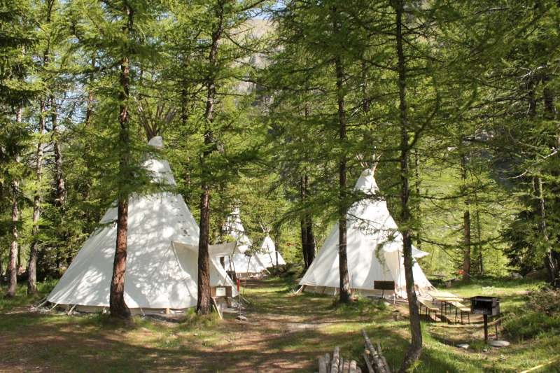 Wigwam Tent  8-10