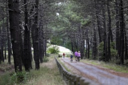 Sport Camping La Chesnays - Vendays-Montalivet