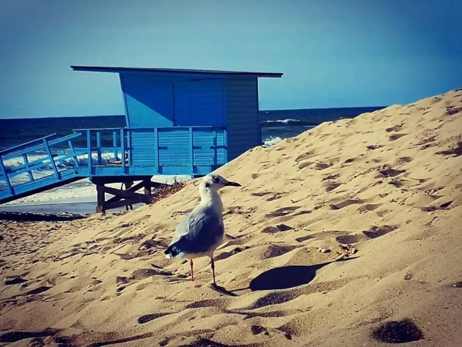 Camping Ushuaïa Villages La Chesnays