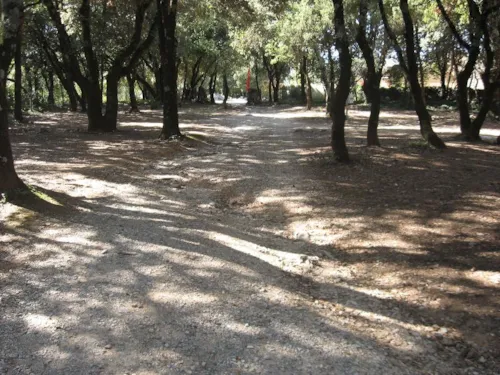 Pitch - Pitch - image n°7 - Camping Mille Etoiles