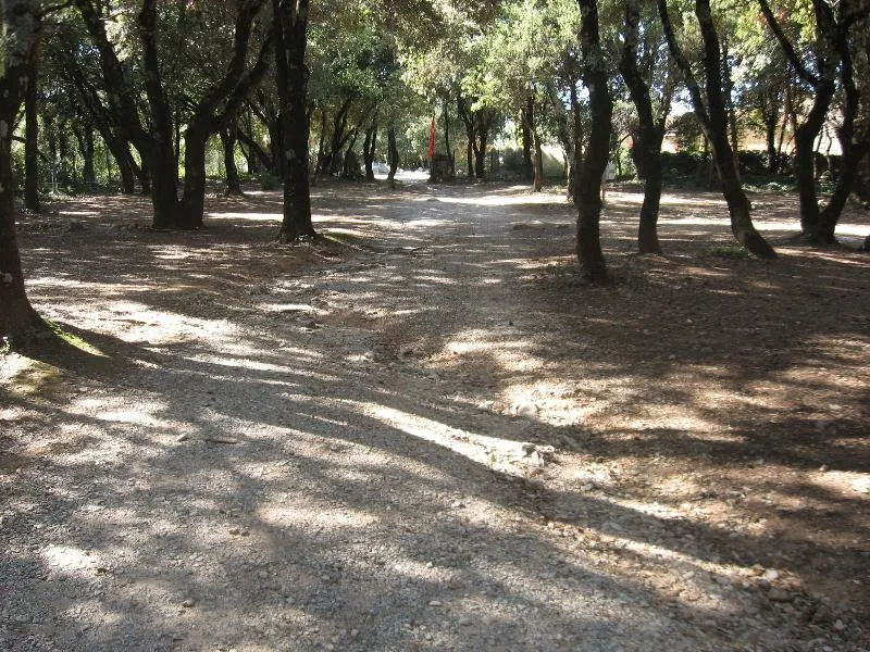 Emplacement  Minimum De 100 M² Avec Ou Sans Électricité