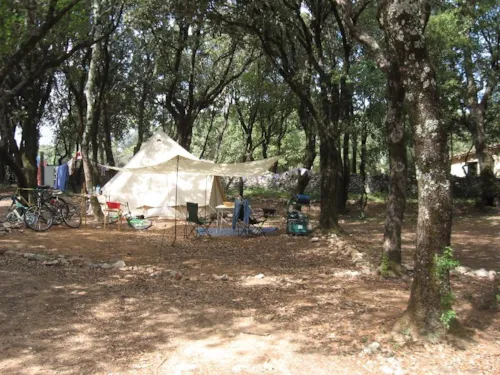 Pitch - Pitch - image n°3 - Camping Mille Etoiles