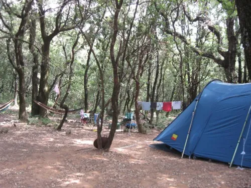 Pitch - Pitch - image n°5 - Camping Mille Etoiles