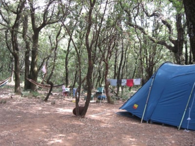 Pitch 100 m² min with or without electric power