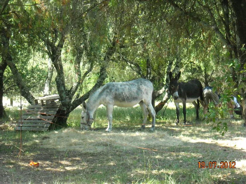 Camping Mille Etoiles