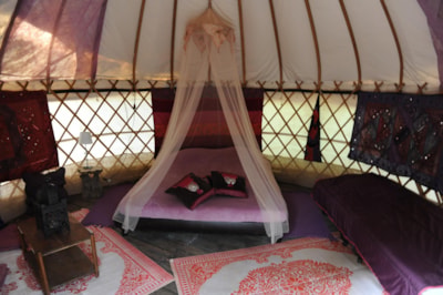Mongolian Yurt without toilet blocks