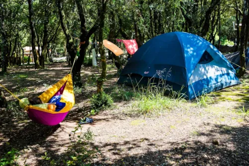 Pitch - Pitch - image n°2 - Camping Mille Etoiles