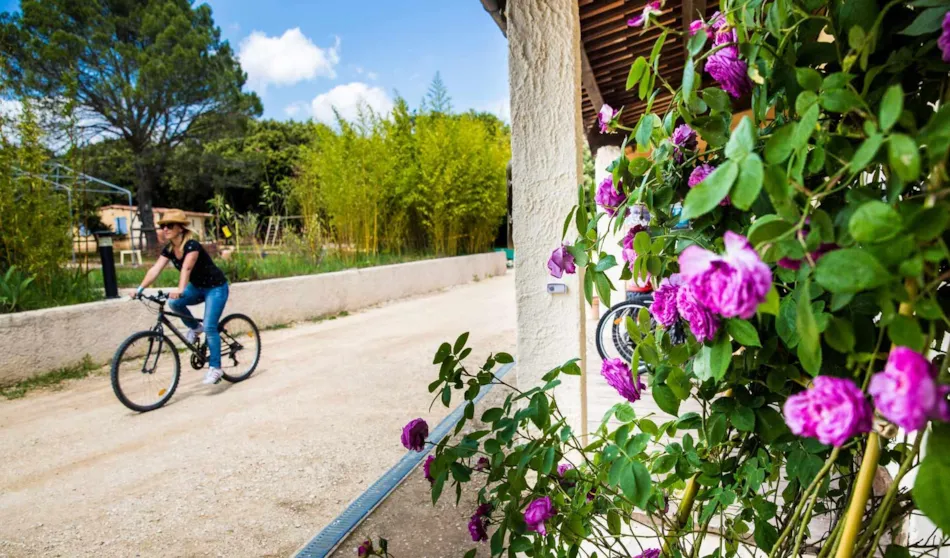 Camping Mille Etoiles