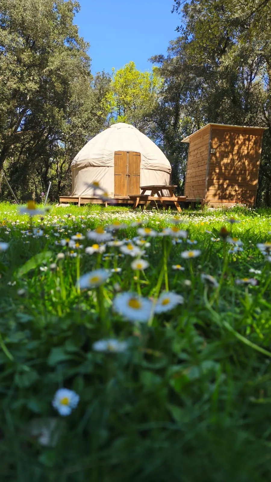 Yourte Sense Sanitaris