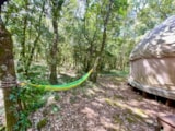Foto #8 van Camping Mille Etoiles